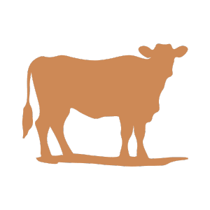 Bovine icon
