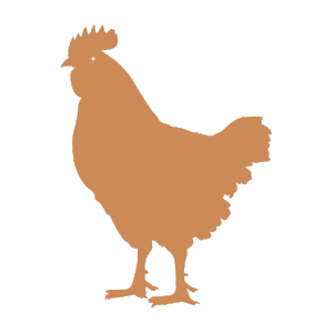 Farm Birds Icon