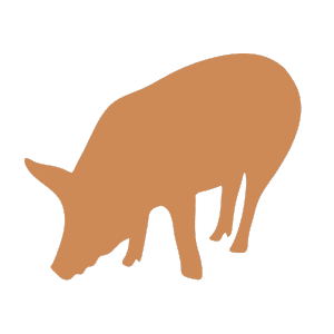 Porcine icon