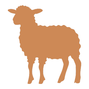 sheep icon