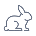 Pet Puppy and Kitten Care